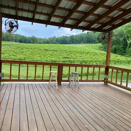 Eagle Mountain River Retreat Ellijay Buitenkant foto