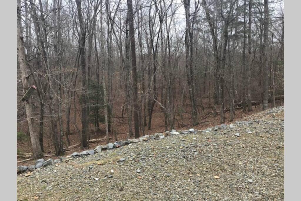 Eagle Mountain River Retreat Ellijay Buitenkant foto