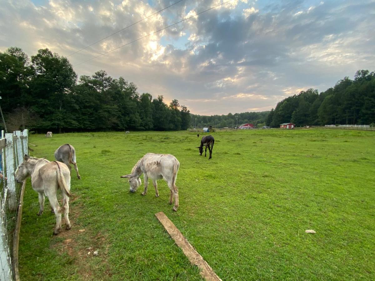 Eagle Mountain River Retreat Ellijay Buitenkant foto