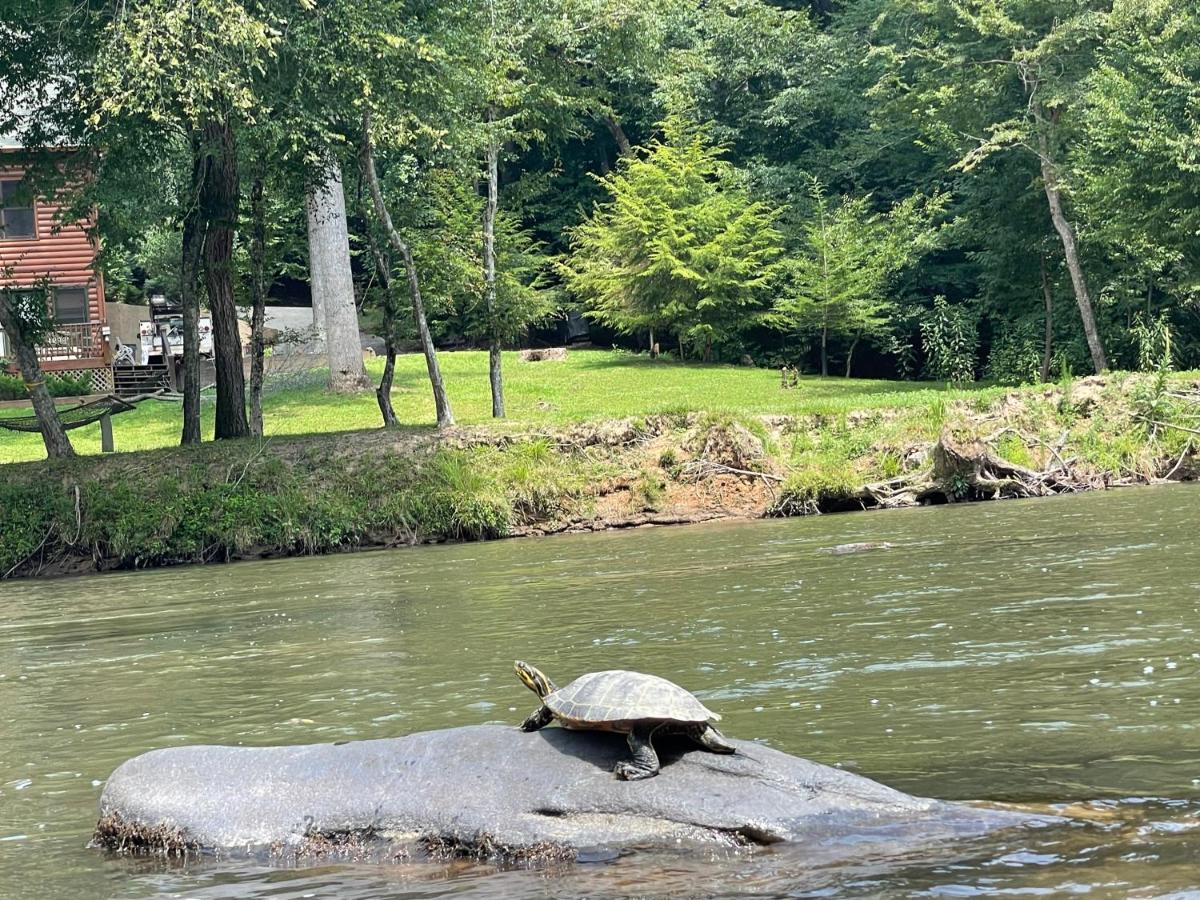 Eagle Mountain River Retreat Ellijay Buitenkant foto