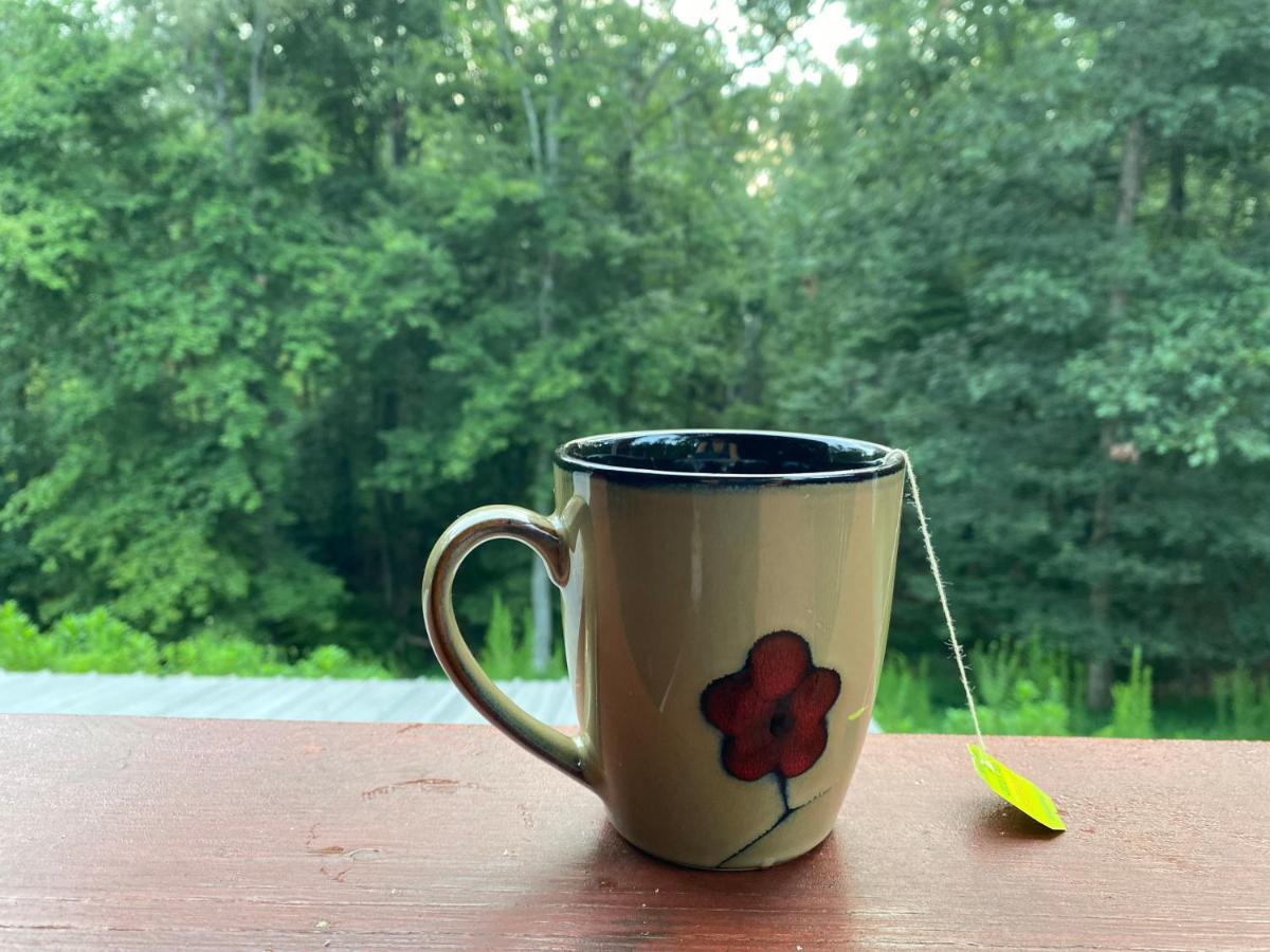 Eagle Mountain River Retreat Ellijay Buitenkant foto